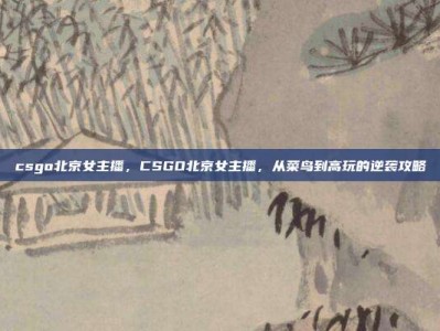 csgo北京女主播，CSGO北京女主播，从菜鸟到高玩的逆袭攻略
