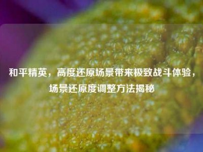 和平精英，高度还原场景带来极致战斗体验，场景还原度调整方法揭秘