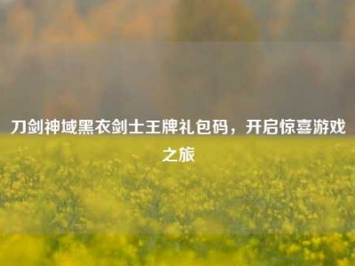 刀剑神域黑衣剑士王牌礼包码，开启惊喜游戏之旅
