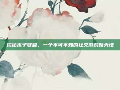 揭秘木子联盟，一个不可不知的社交游戏新天地