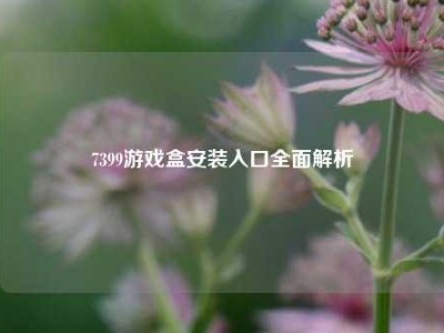7399游戏盒安装入口全面解析