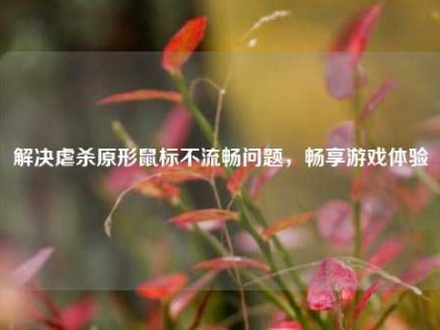 解决虐杀原形鼠标不流畅问题，畅享游戏体验