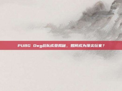 PUBG Dwg战队成员揭秘，如何成为顶尖玩家？