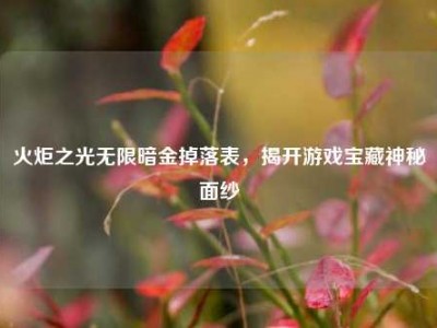 火炬之光无限暗金掉落表，揭开游戏宝藏神秘面纱