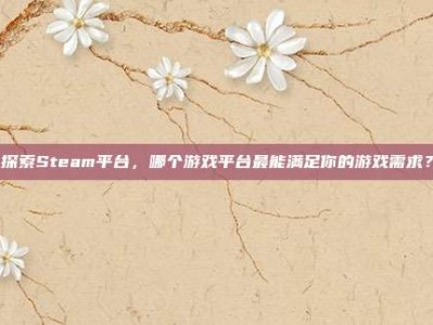 探索Steam平台，哪个游戏平台最能满足你的游戏需求？