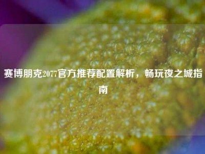 赛博朋克2077官方推荐配置解析，畅玩夜之城指南