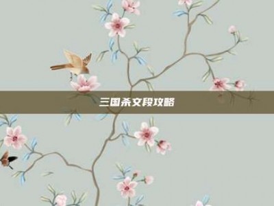 三国杀文段攻略