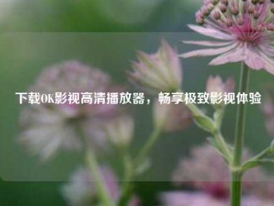 下载OK影视高清播放器，畅享极致影视体验