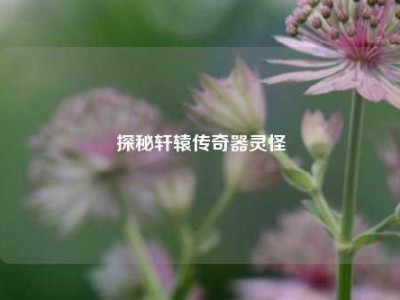 探秘轩辕传奇器灵怪