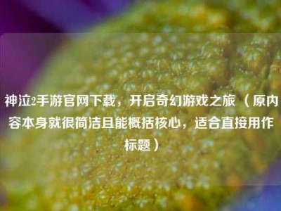 神泣2手游官网下载，开启奇幻游戏之旅 （原内容本身就很简洁且能概括核心，适合直接用作标题）