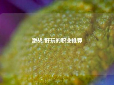 激战2好玩的职业推荐