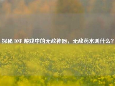 探秘 DNF 游戏中的无敌神器，无敌药水叫什么？