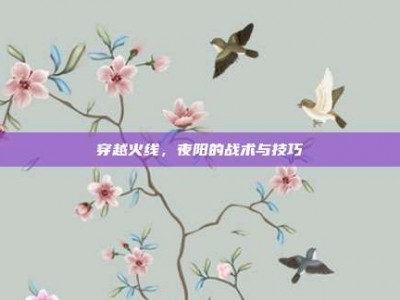 穿越火线，夜阳的战术与技巧