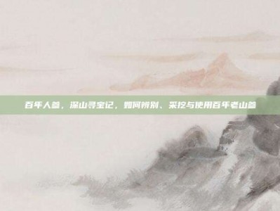 百年人参，深山寻宝记，如何辨别、采挖与使用百年老山参