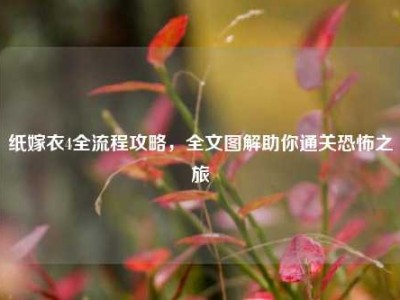 纸嫁衣4全流程攻略，全文图解助你通关恐怖之旅