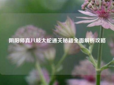 阴阳师真八岐大蛇通关秘籍全面解析攻略