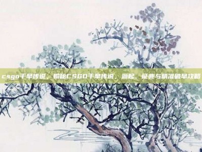 csgo干旱传说，揭秘CSGO干旱传说，源起、征兆与精准破旱攻略