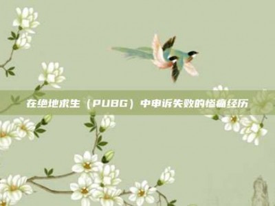 在绝地求生（PUBG）中申诉失败的惨痛经历
