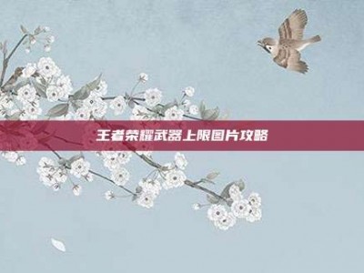 王者荣耀武器上限图片攻略