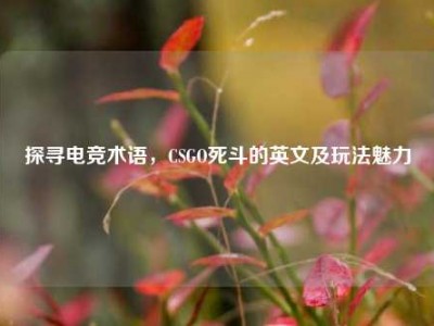 探寻电竞术语，CSGO死斗的英文及玩法魅力
