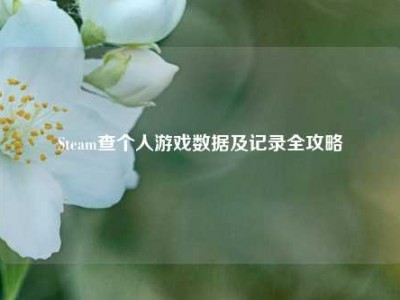 Steam查个人游戏数据及记录全攻略