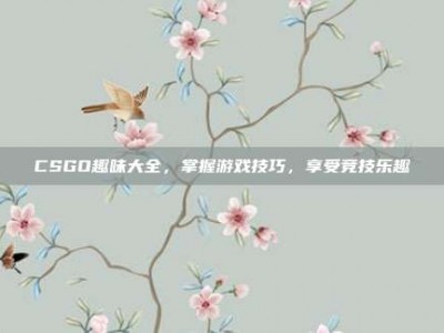CSGO趣味大全，掌握游戏技巧，享受竞技乐趣
