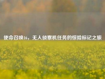 使命召唤16，无人侦察机任务的惊险标记之旅