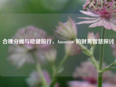 合理分摊与稳健前行，Amortize 的财务智慧探讨