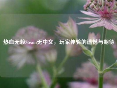 热血无赖Steam无中文，玩家体验的遗憾与期待
