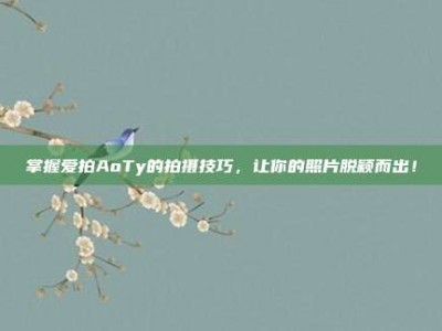 掌握爱拍AoTy的拍摄技巧，让你的照片脱颖而出！