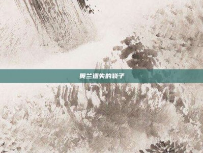 奥兰遗失的袋子
