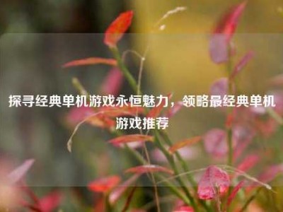 探寻经典单机游戏永恒魅力，领略最经典单机游戏推荐
