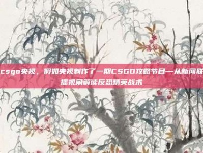 csgo央视，假如央视制作了一期CSGO攻略节目—从新闻联播视角解读反恐精英战术