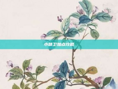小精卫加点攻略
