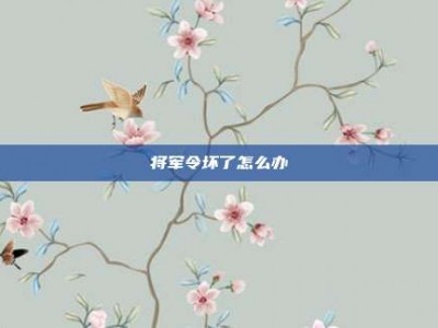 将军令坏了怎么办