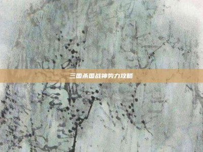 三国杀国战神势力攻略