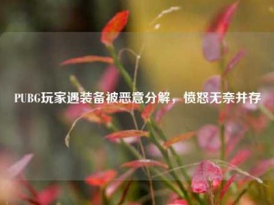 PUBG玩家遇装备被恶意分解，愤怒无奈并存