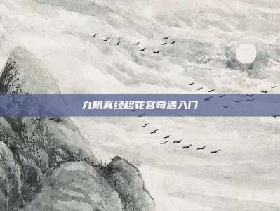 九阴真经移花宫奇遇入门