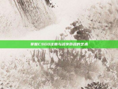掌握CSGO注册与名字命名的艺术
