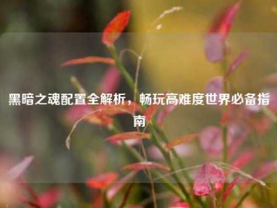 黑暗之魂配置全解析，畅玩高难度世界必备指南