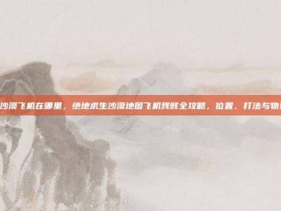 pubg沙漠飞机在哪里，绝地求生沙漠地图飞机残骸全攻略，位置、打法与物资解析