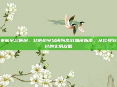 北京航空总医院，北京航空总医院高效就医指南，从挂号到就诊的实用攻略