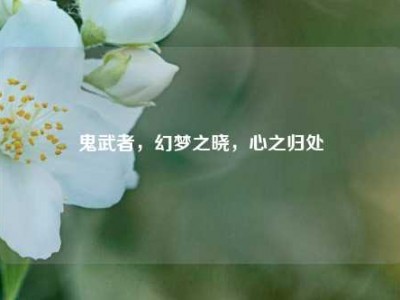 鬼武者，幻梦之晓，心之归处