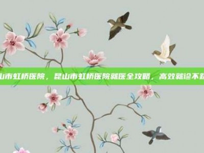 昆山市虹桥医院，昆山市虹桥医院就医全攻略，高效就诊不踩坑