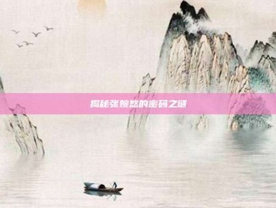 揭秘张婉悠的密码之谜