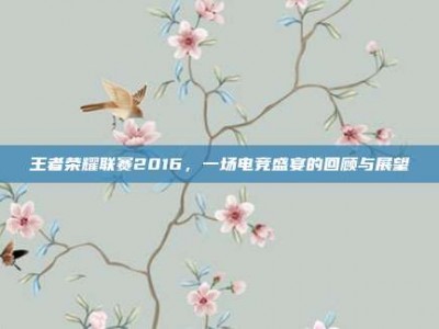 王者荣耀联赛2016，一场电竞盛宴的回顾与展望