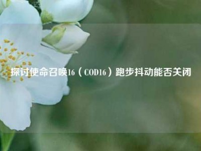 探讨使命召唤16（COD16）跑步抖动能否关闭