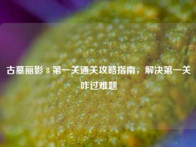 古墓丽影 8 第一关通关攻略指南，解决第一关咋过难题
