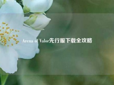 Arena of Valor先行服下载全攻略