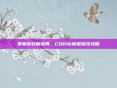 掌握游戏新境界，COD16模型修改攻略